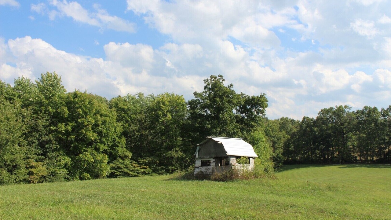 Photo of Outdoor in Dellroy