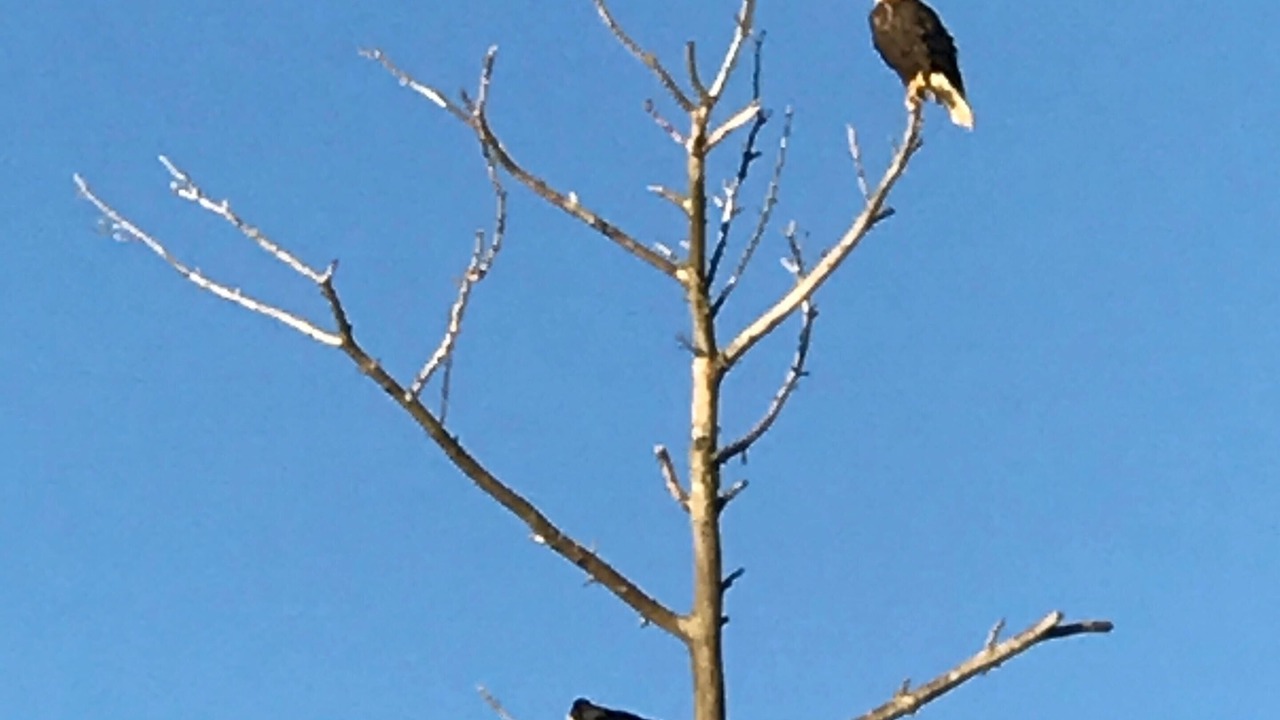 Photo of Outdoor in Sturgeon Lake