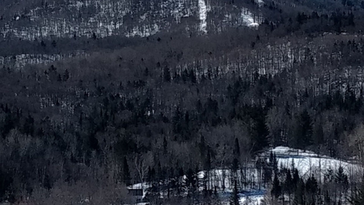 Photo of Outdoor in East Burke