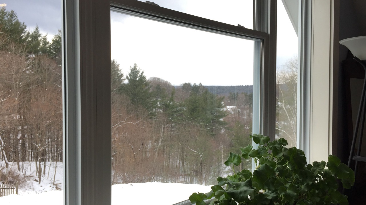 Photo of Others in Montpelier