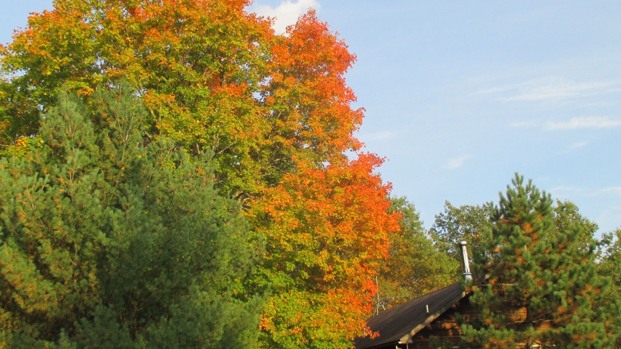 Photo of Outdoor in Finlayson