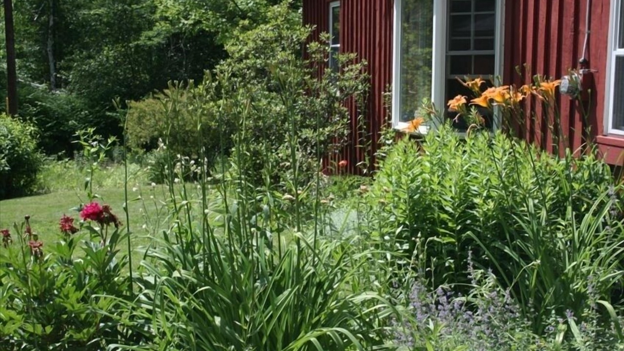 Photo of Outdoor in Shelburne Falls