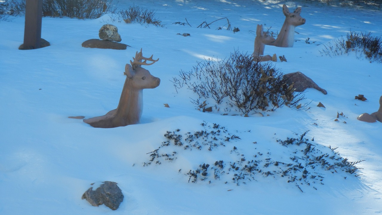 Photo of Others in Alta Vista