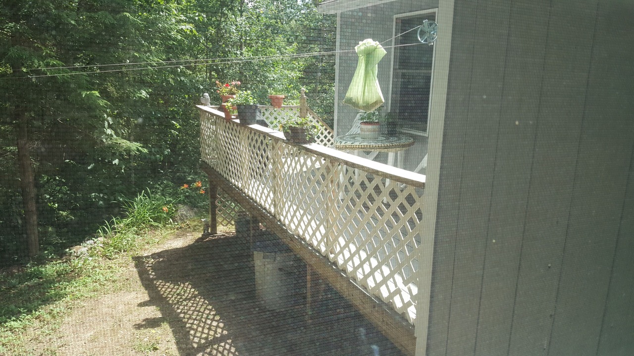 Photo of Outdoor in Washington