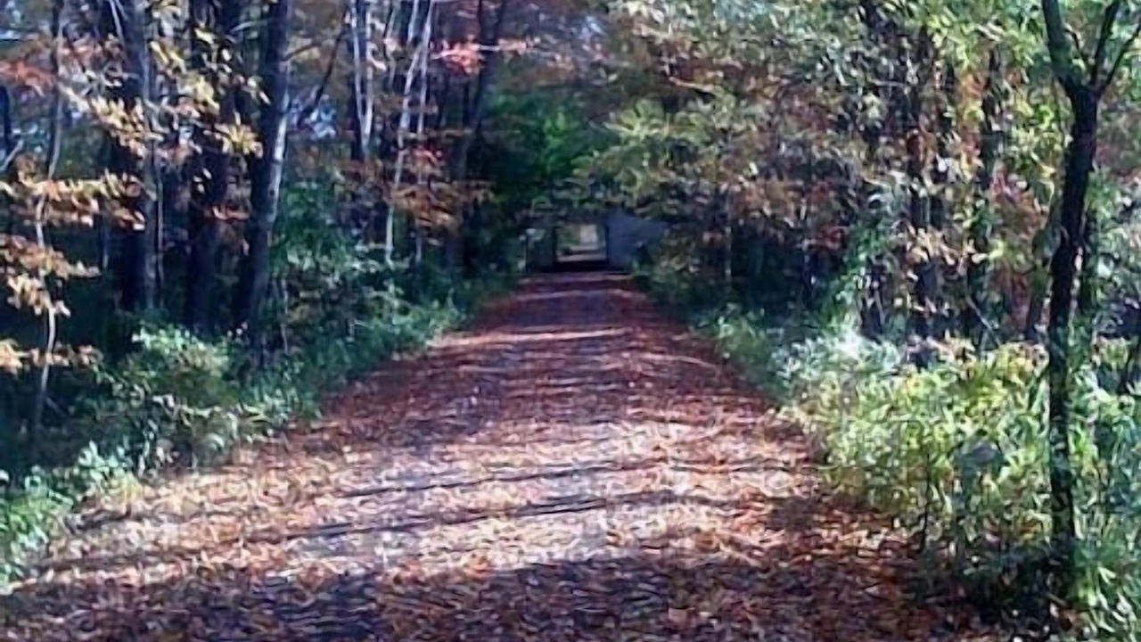 Photo of Others in Hadley