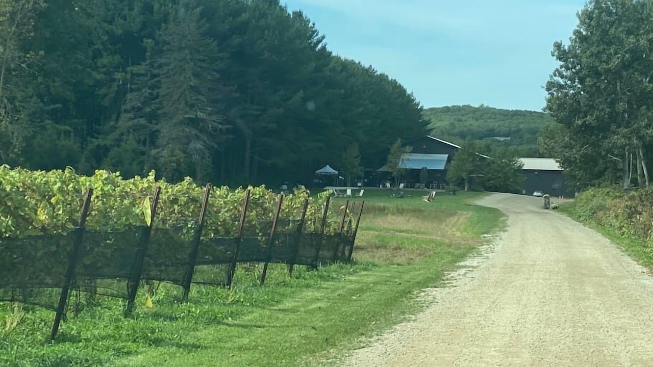 Photo of Others in Hadley