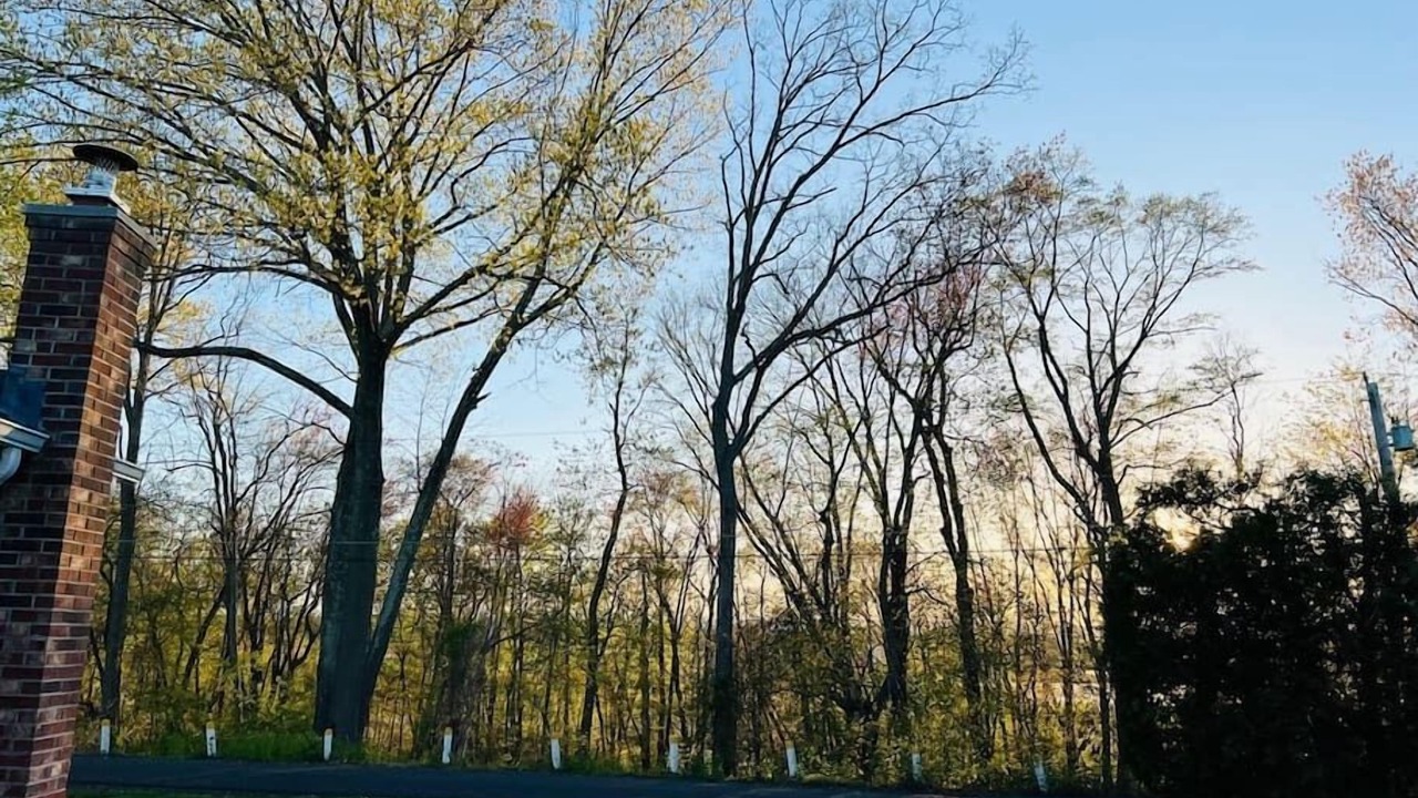 Photo of Others in Hadley