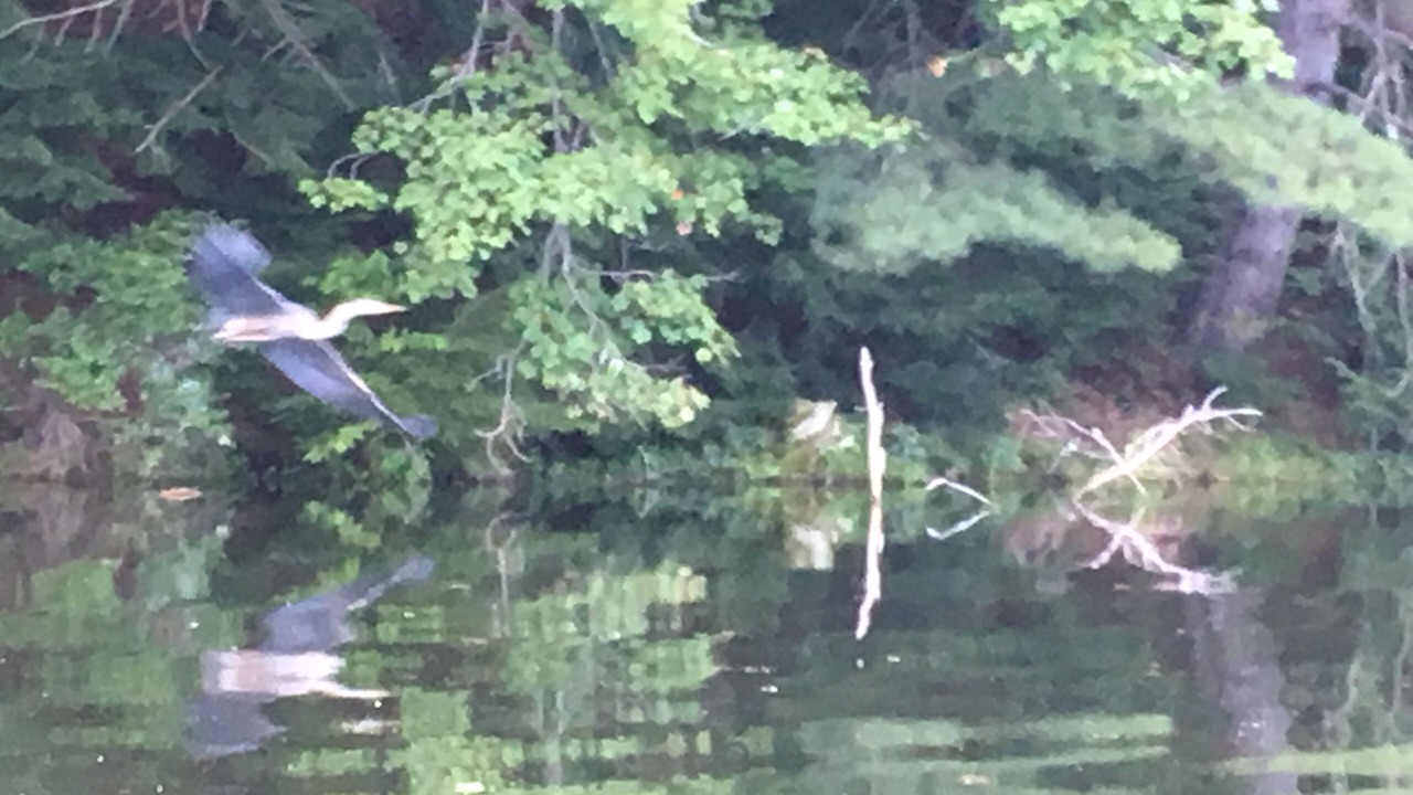 Photo of Others in Lake Luzerne-Hadley