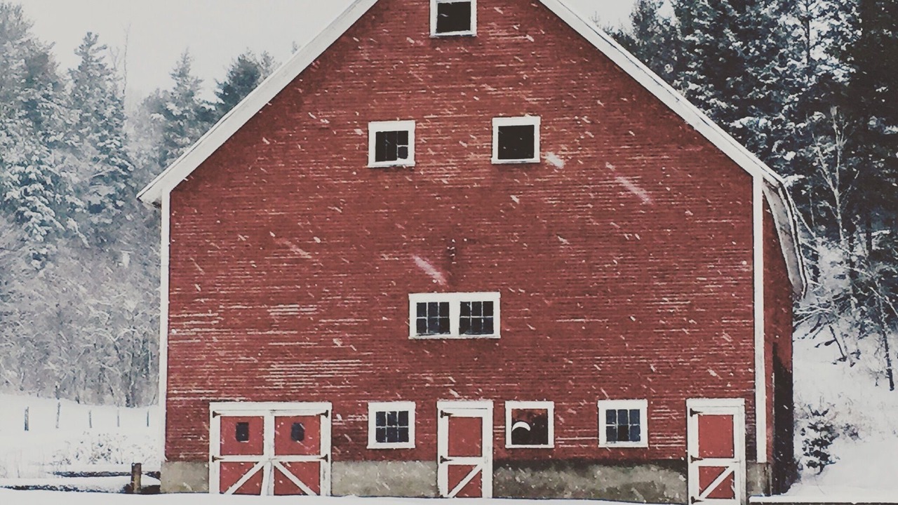 Photo of Outdoor in Lyndon