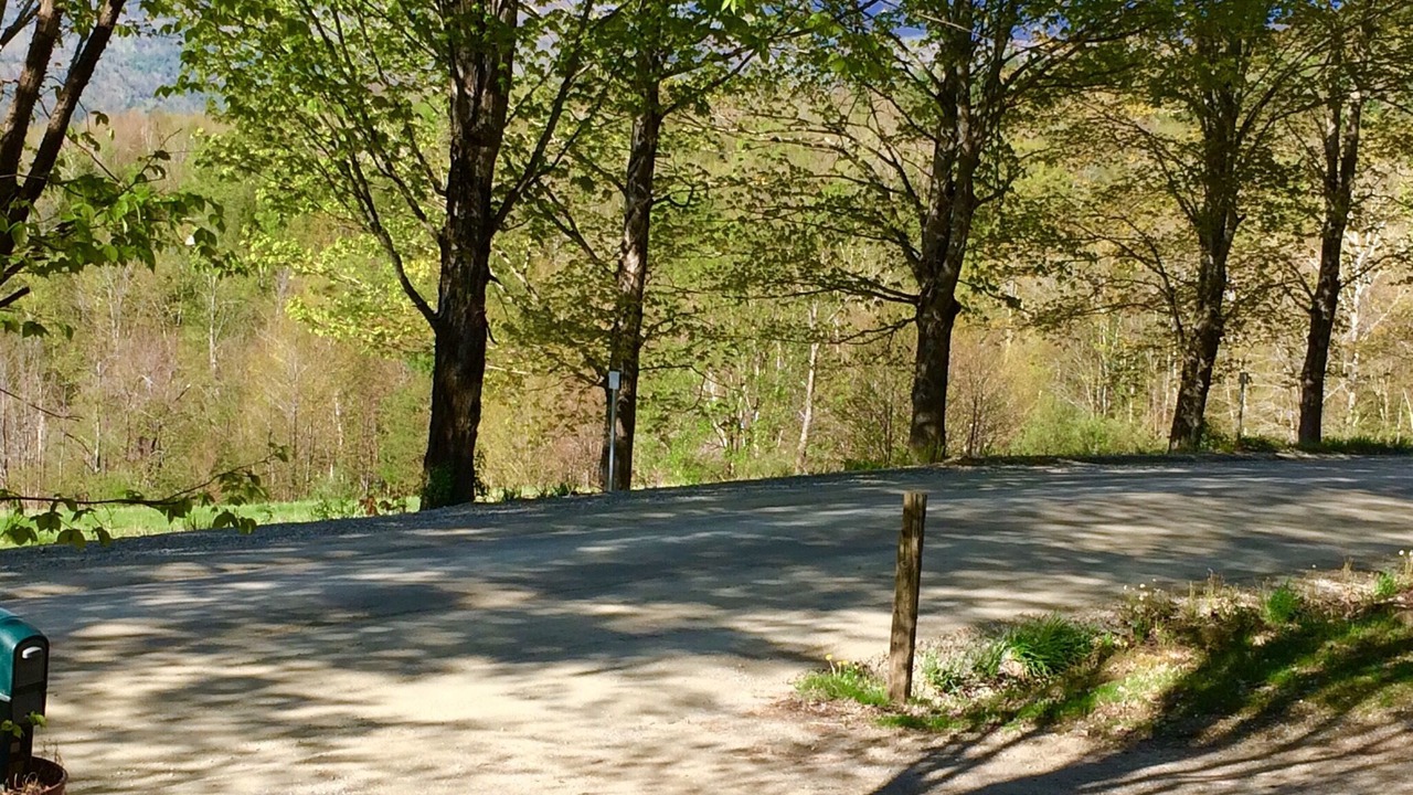 Photo of Others in Richmond