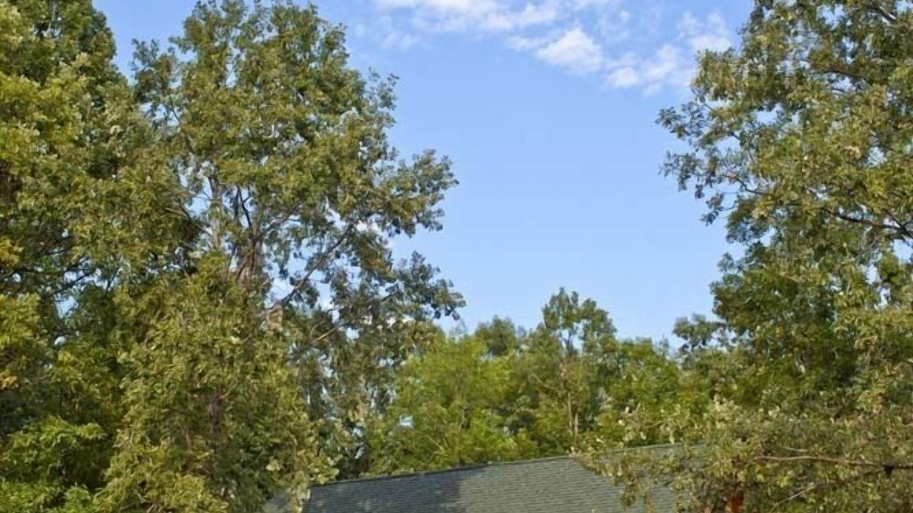 Photo of Outdoor in North Ferrisburgh
