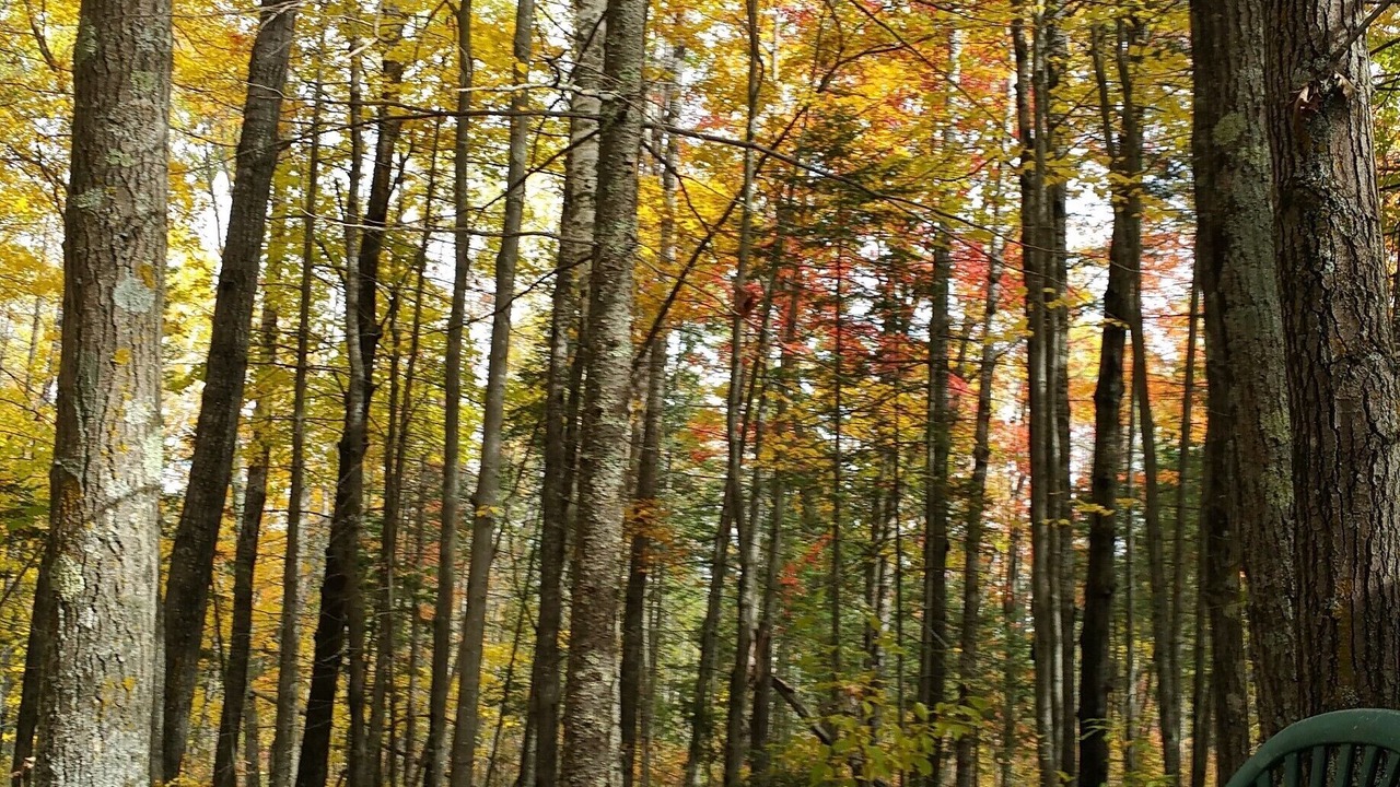 Photo of Outdoor in Finlayson