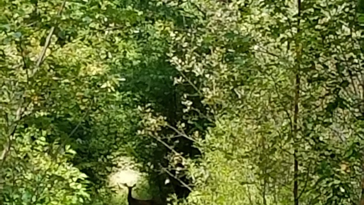 Photo of Others in Finlayson