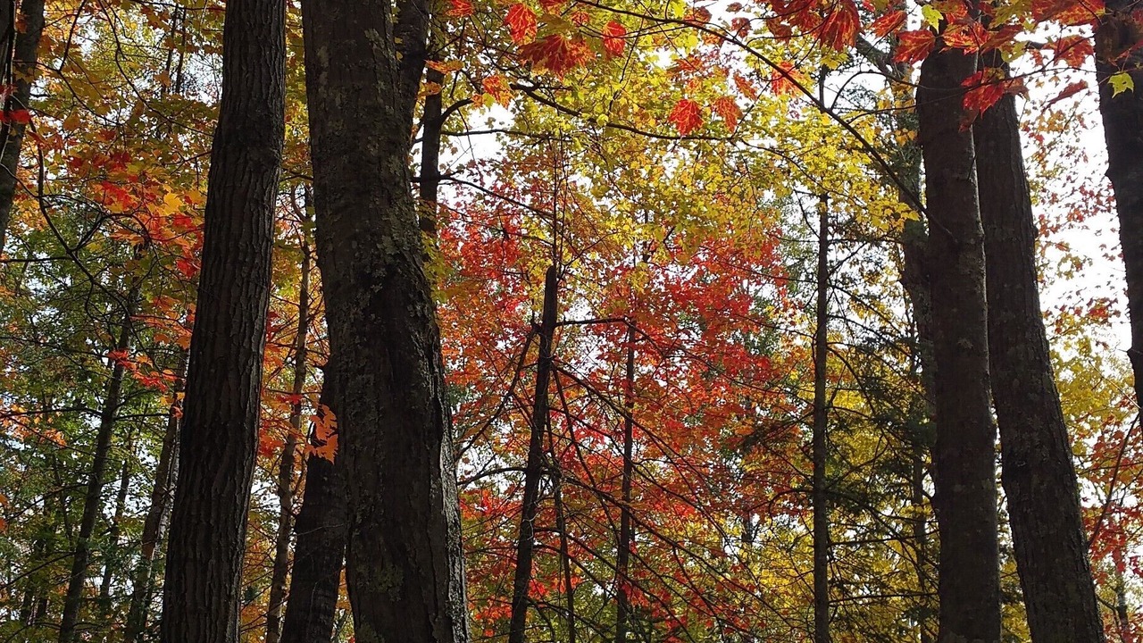 Photo of Outdoor in Finlayson