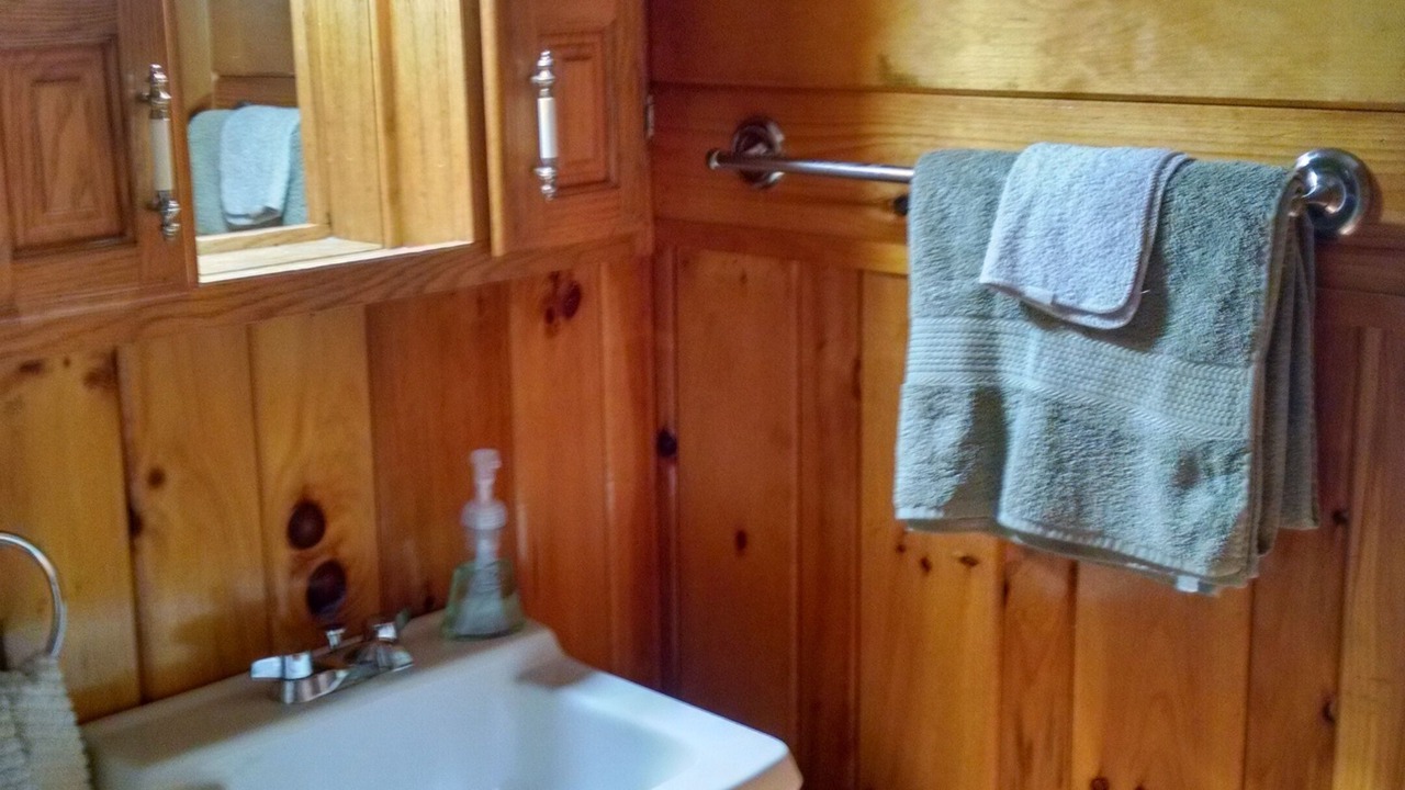 Photo of Bathroom in Lowville