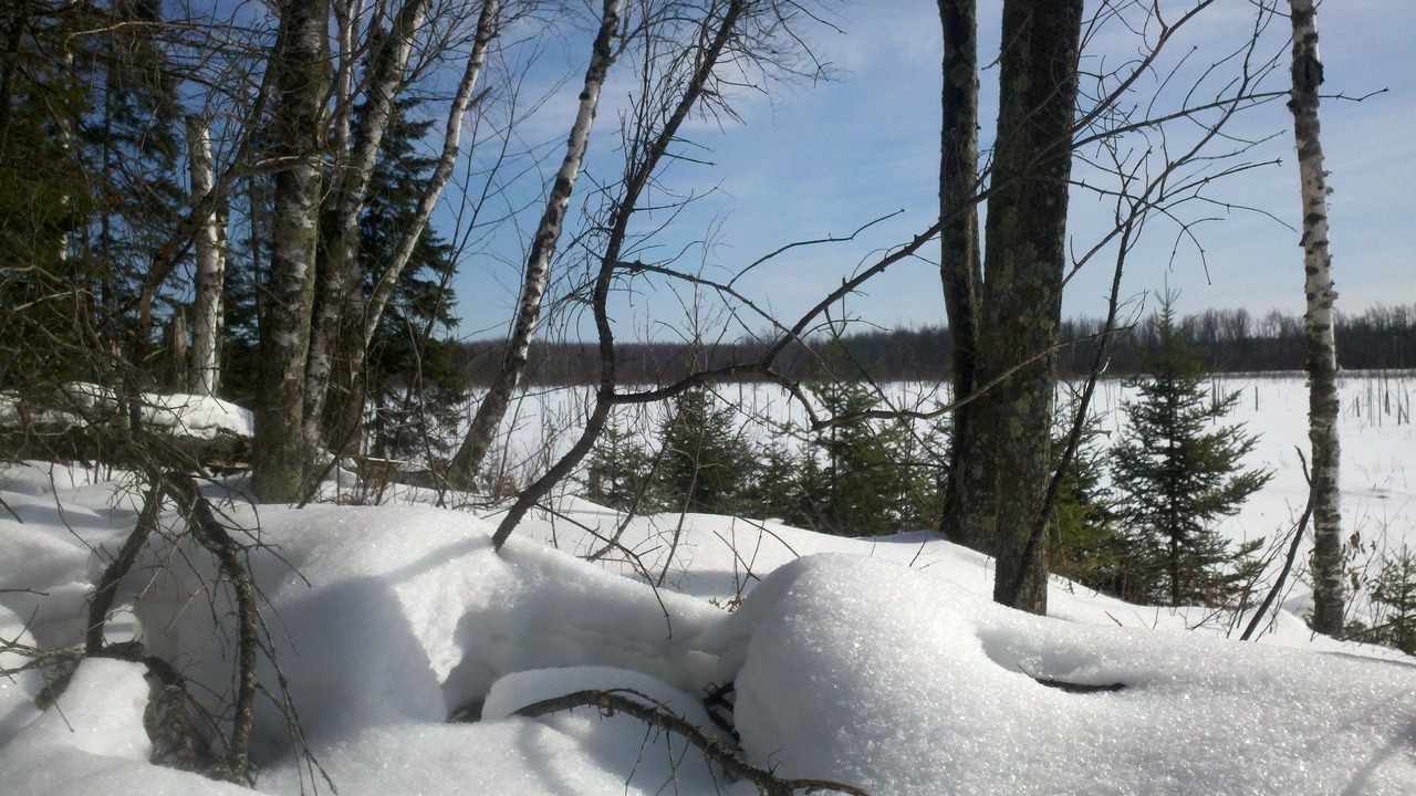Photo of Others in Finlayson
