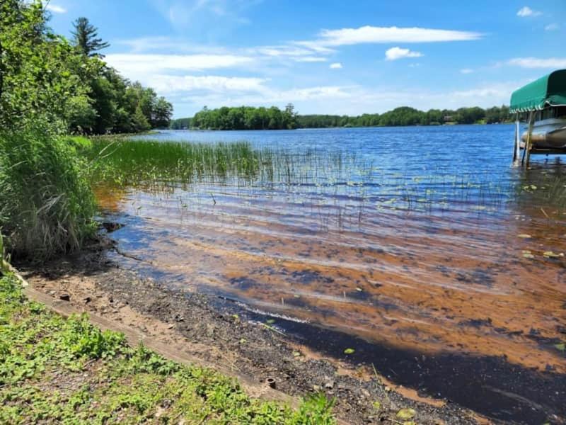 Photo of Others in Clam Lake