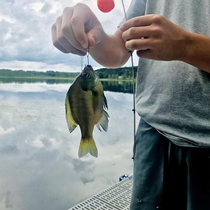 Photo of Others in Stone Lake