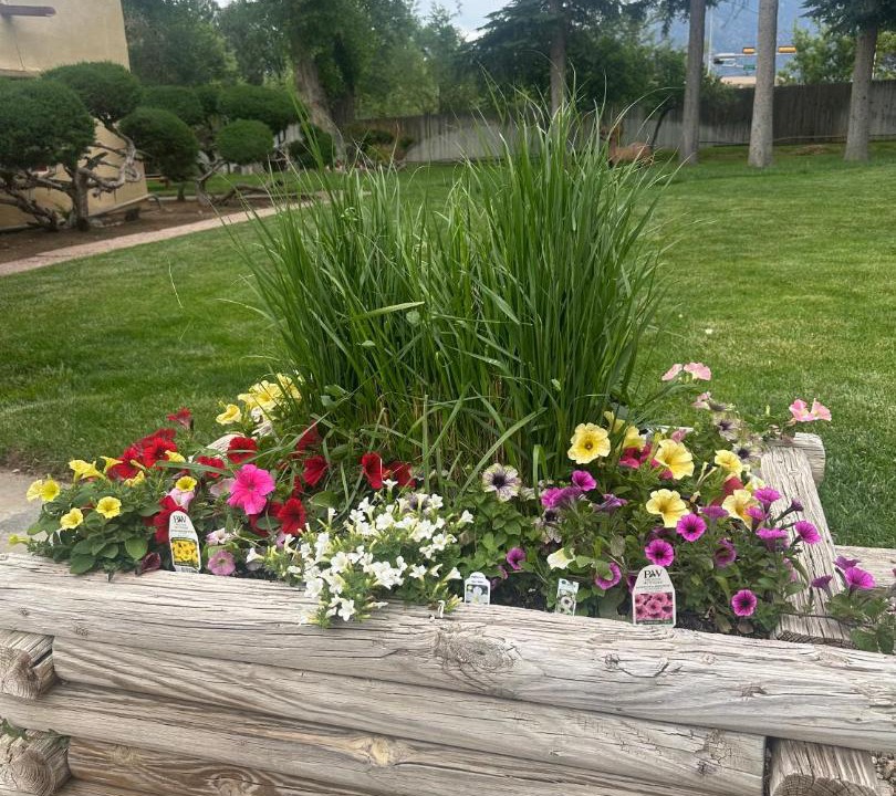 Photo of Others in Taos
