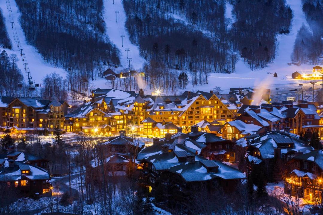 Photo of Buildings in Stowe Area