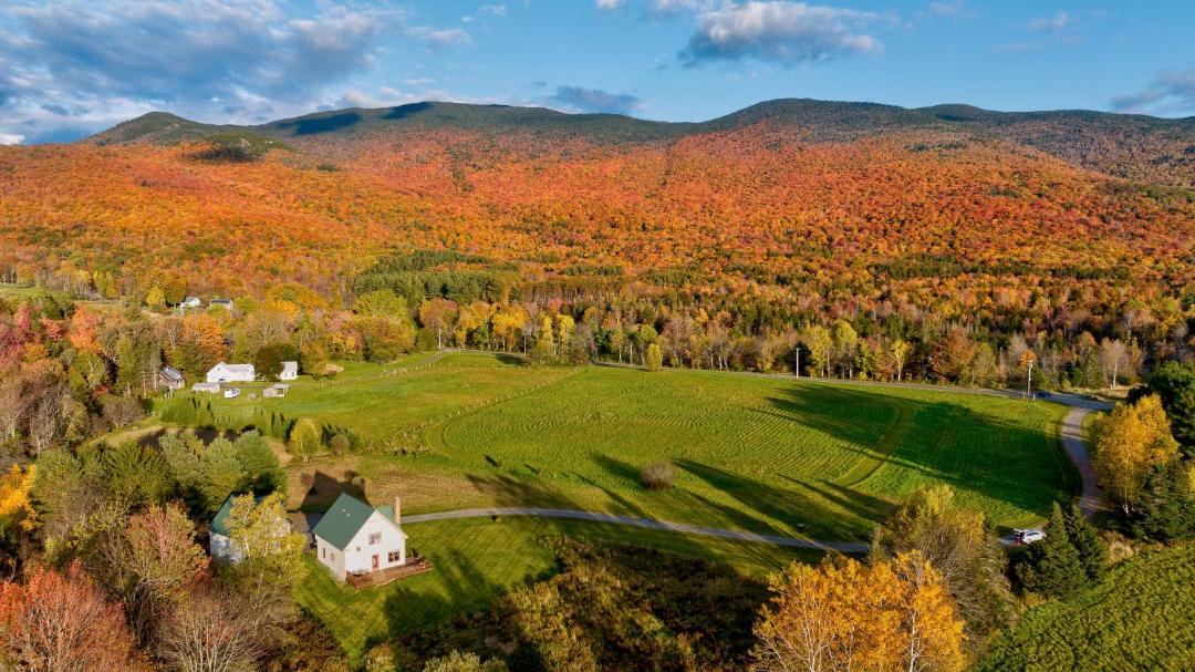 Photo of Others in Stowe Hollow