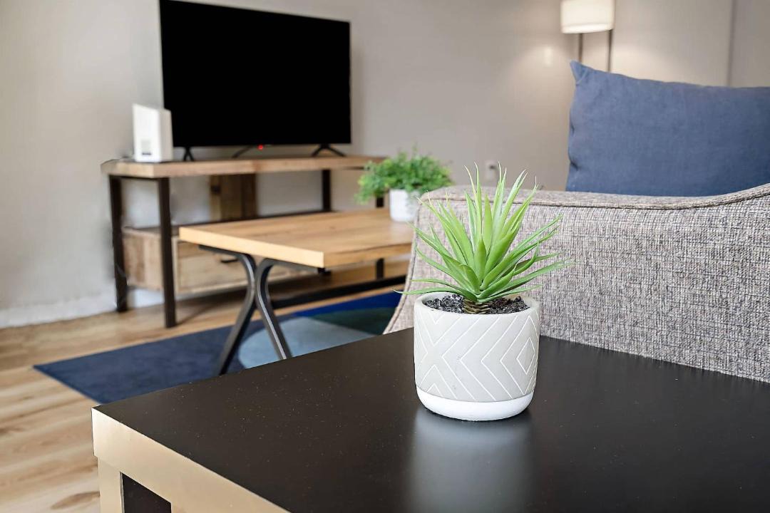 Photo of Livingroom in Mill District