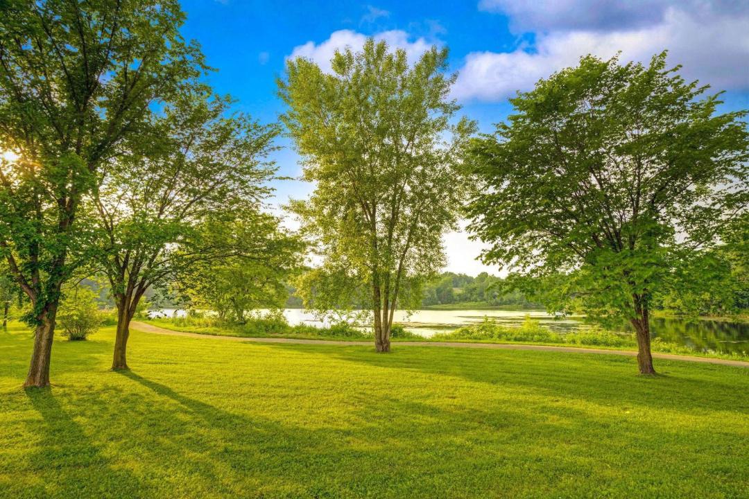 Photo of Others in Chaska