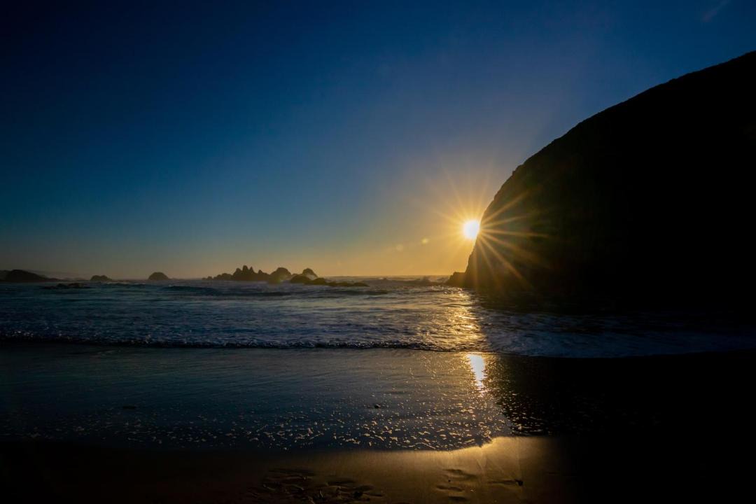 Photo of Others in Seal Rock