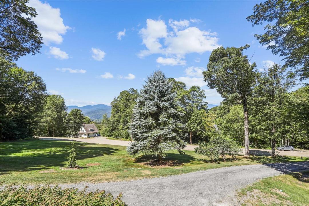 Photo of Others in Stowe Hollow