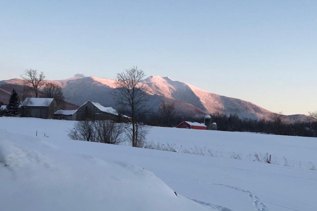Photo of Others in Stowe Area