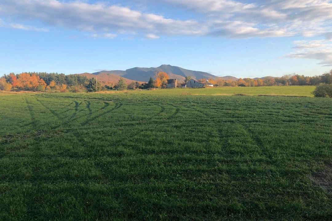 Photo of Others in Stowe Area
