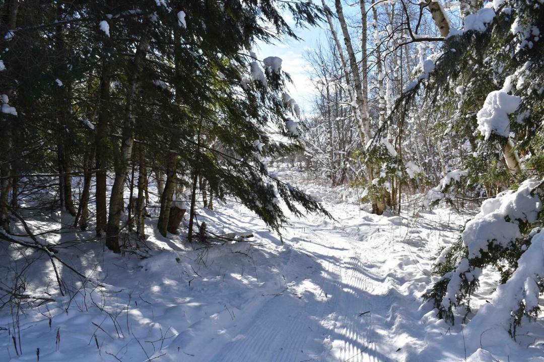Photo of Others in Stowe Area