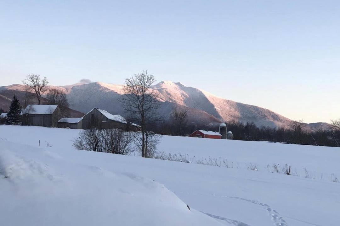 Photo of Others in Stowe Area