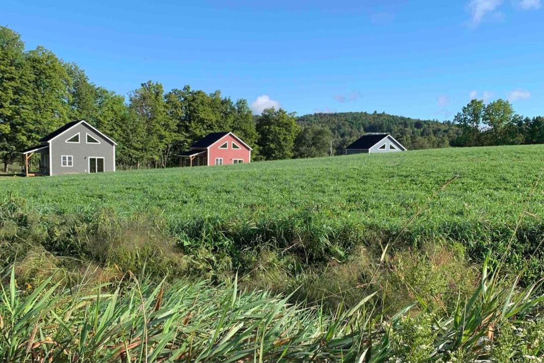 Photo of Others in Stowe Area