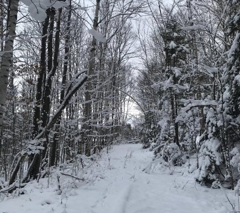 Photo of Others in Warren