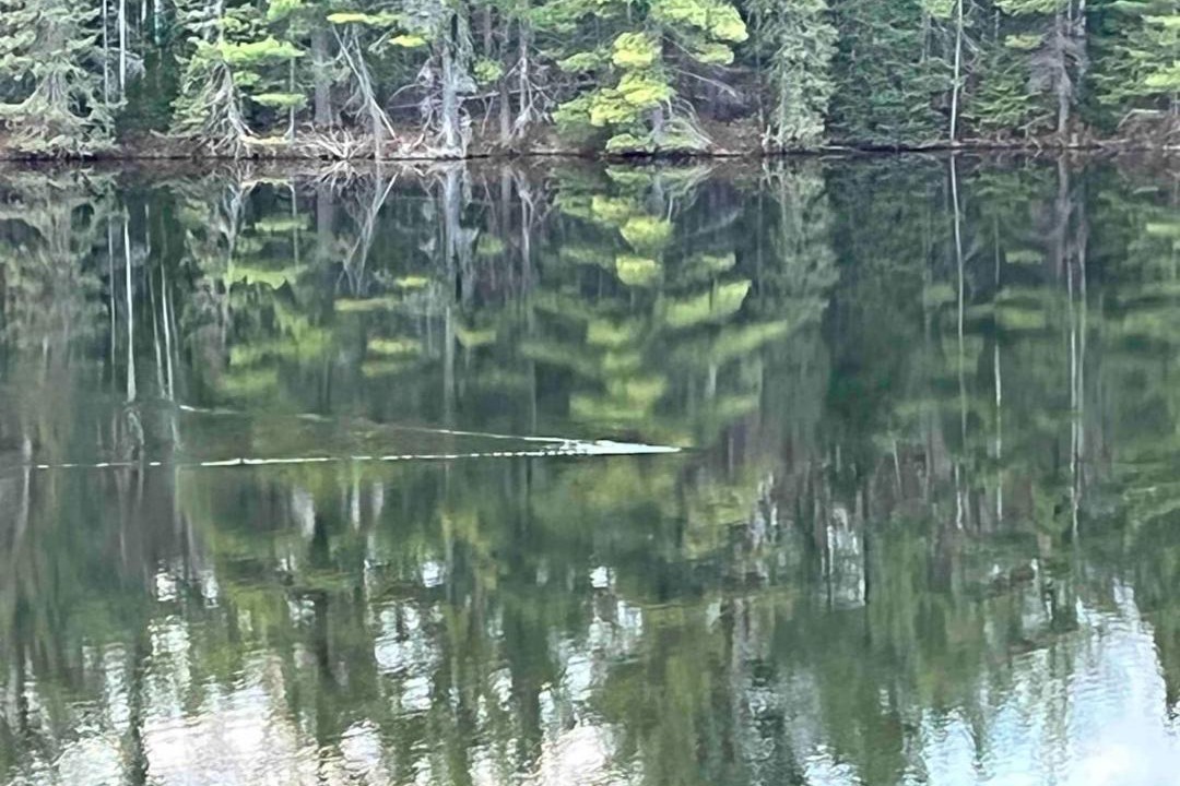 Photo of Others in Ray Brook