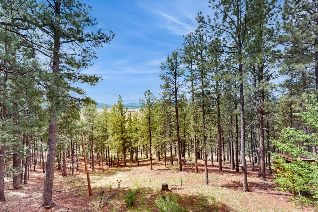 Photo of Others in Angel Fire