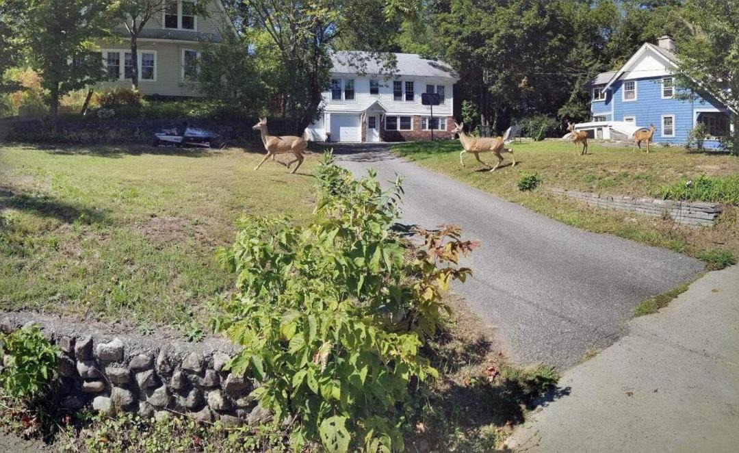 Photo of Others in Saranac Lake