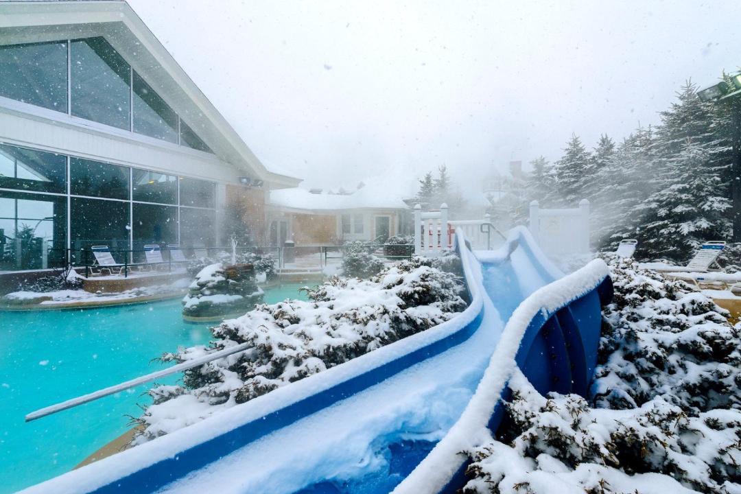 Photo of Others in Snowshoe