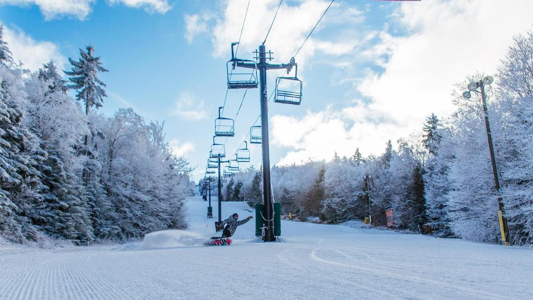 Photo of Others in Snowshoe