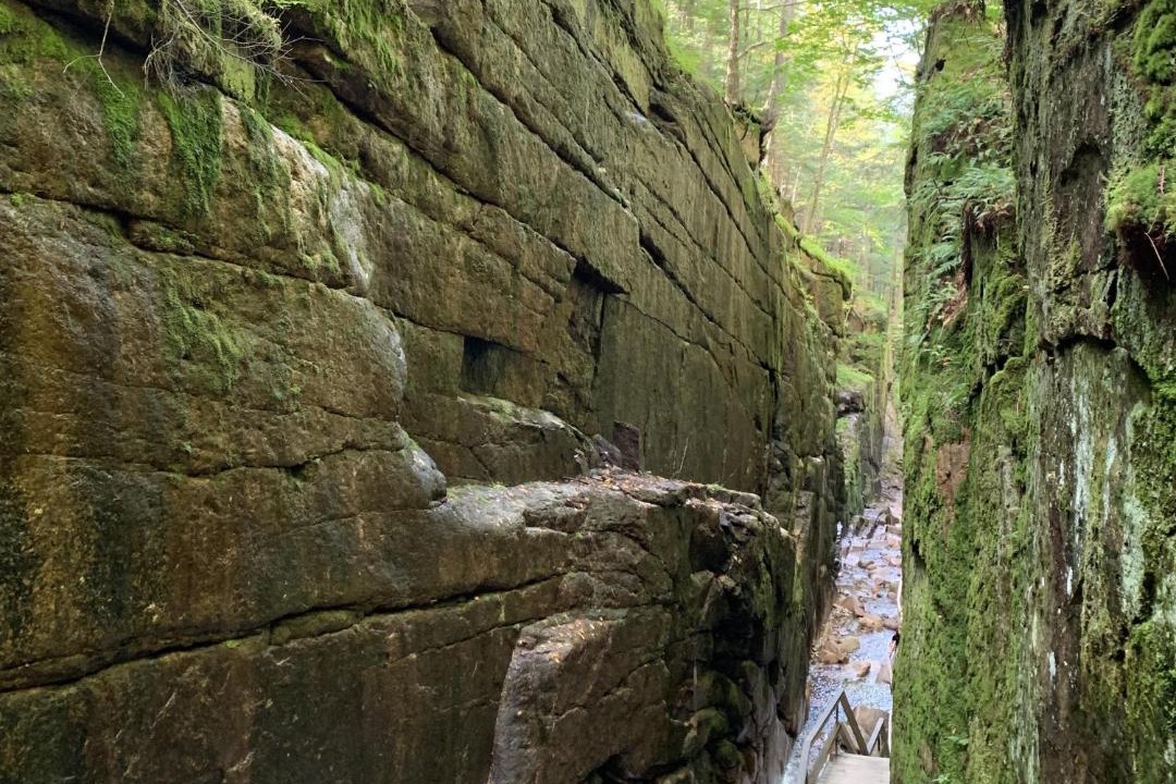 Photo of Others in Dalton