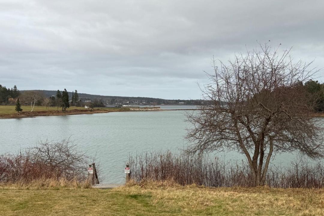Photo of Others in Southwest Harbor