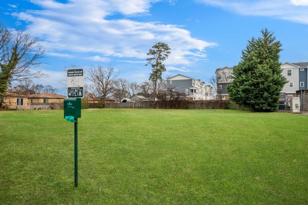 Photo of Others in North Camellia Acres