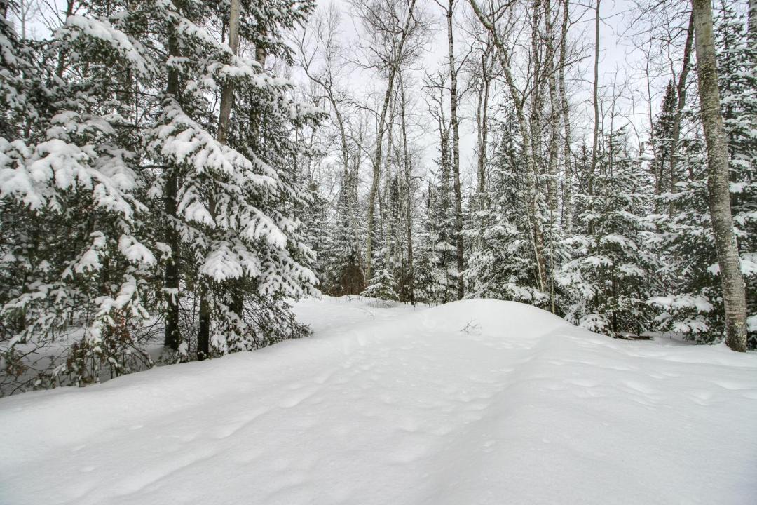 Photo of Others in Northeast Itasca