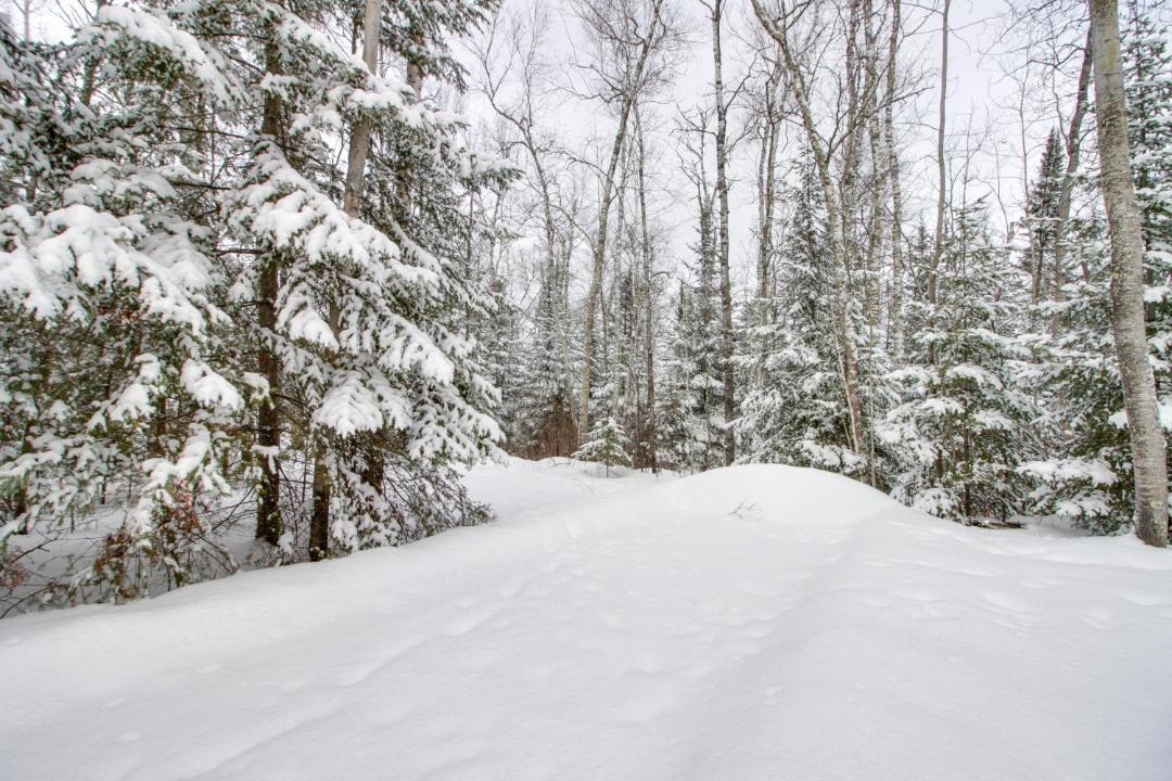 Photo of Others in Northeast Itasca