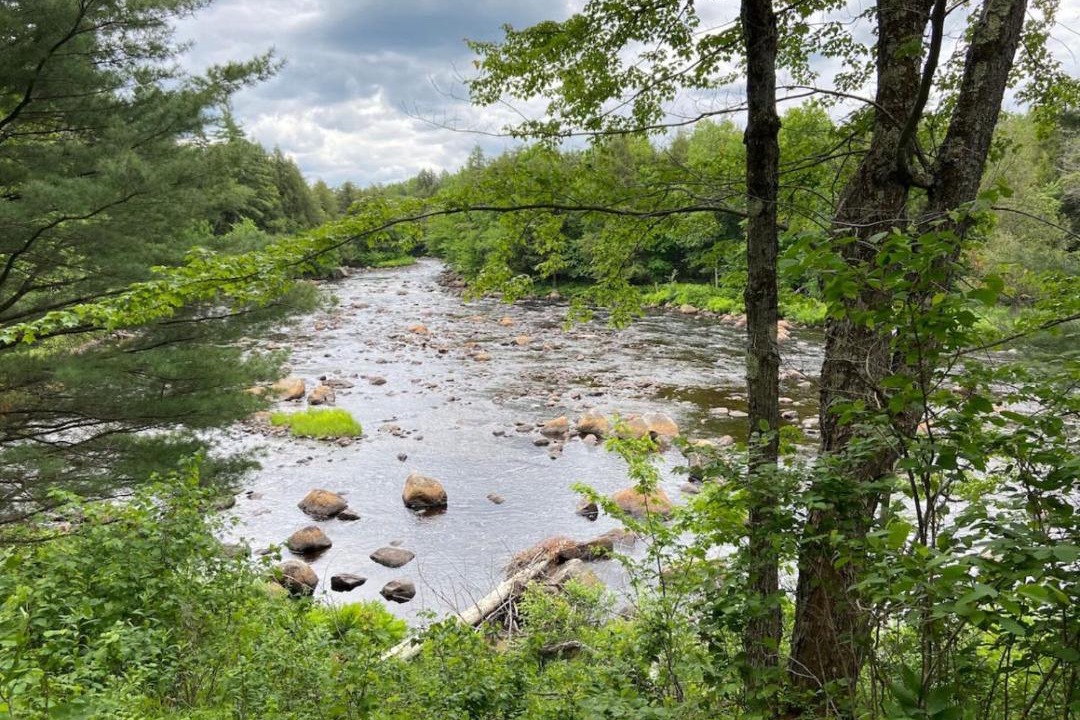 Photo of Others in Hopkinton