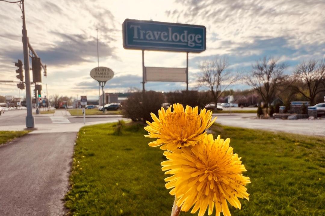 Photo of Others in Shakopee