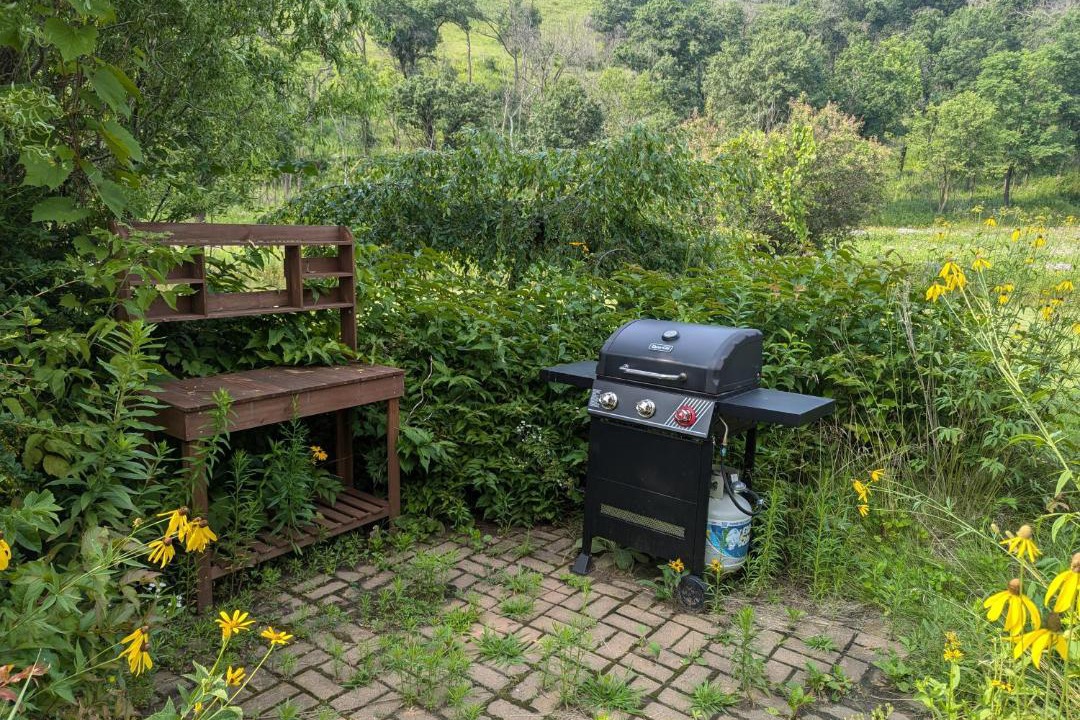 Photo of Outdoor in Maiden Rock