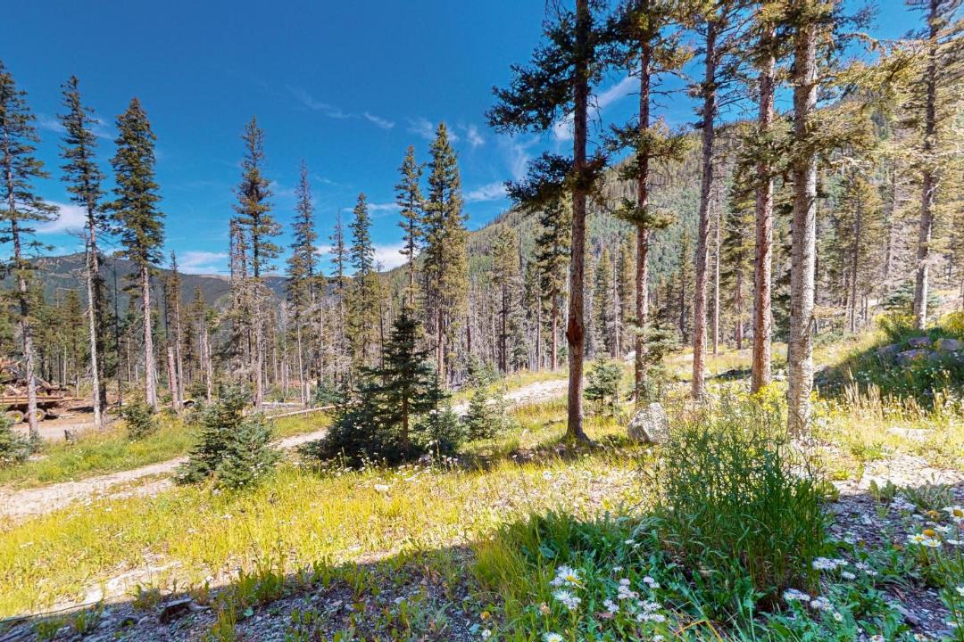Photo of Others in Taos Ski Valley