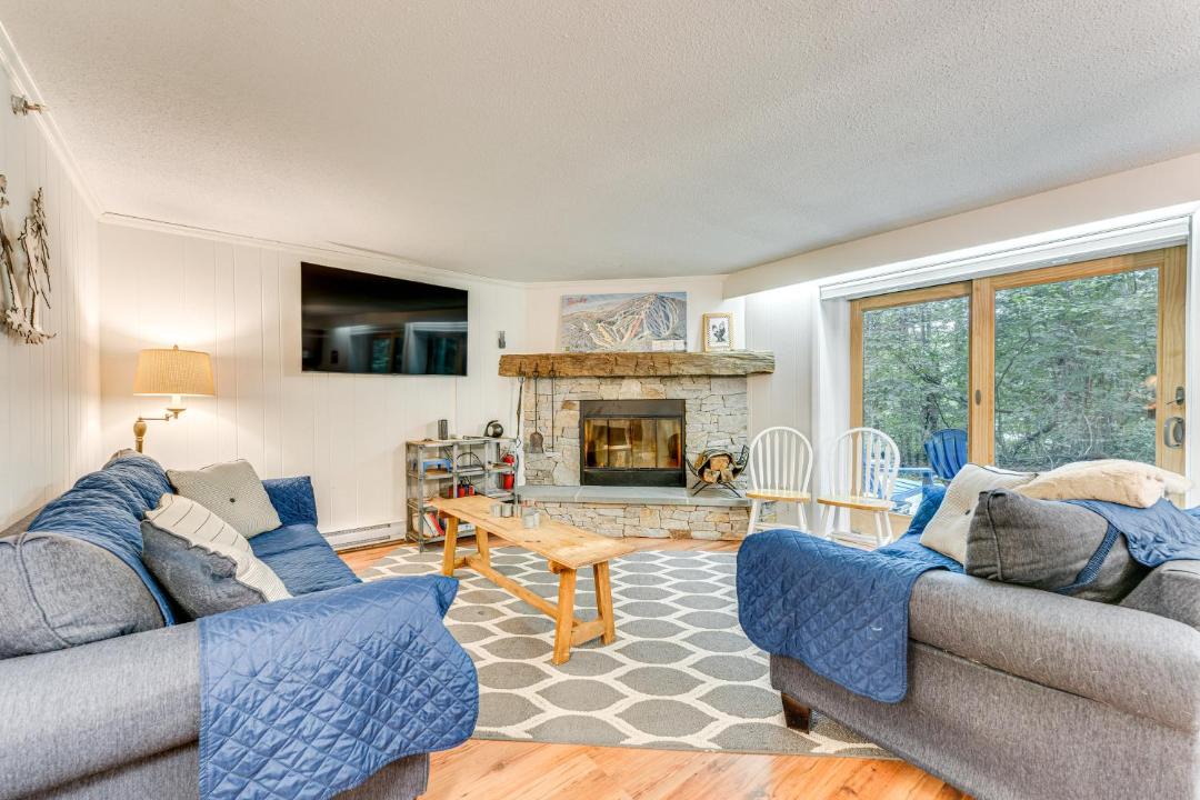 Photo of Livingroom in Bromley Mountain